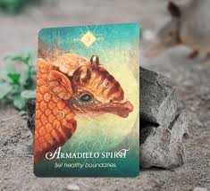 Spirit Animal Oracle Deck: 68-Card Deck with Guidebook for Animal Spirit Wisdom