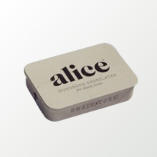 Wholesale Brainstorm — mushroom chocolates for focus