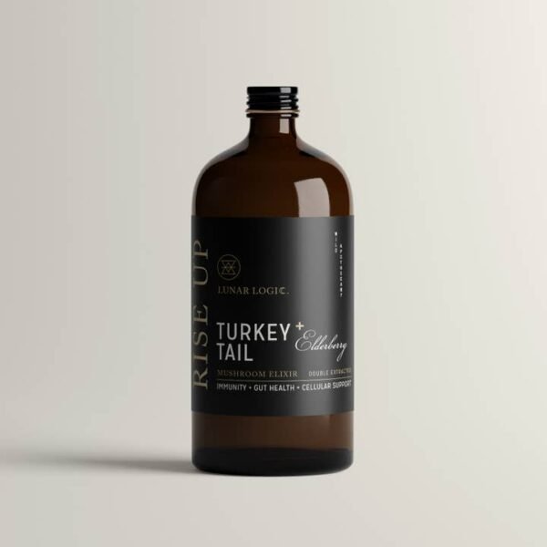 RISE UP Turkey Tail + Elderberry Mushroom Elixir | Immune Boosting Double-Extracted Tonic - Image 2