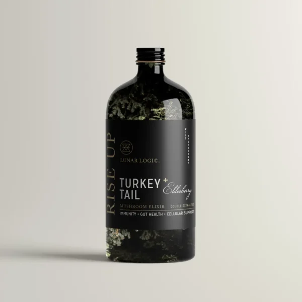 RISE UP / Turkey Tail + Elderberry Mushroom Elixir