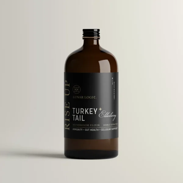 RISE UP / Turkey Tail + Elderberry Mushroom Elixir - Image 2