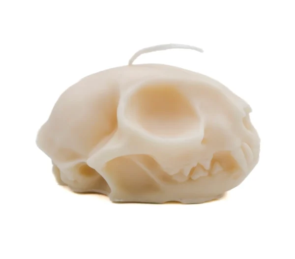 Cat Skull Candle | Pillar - Image 2